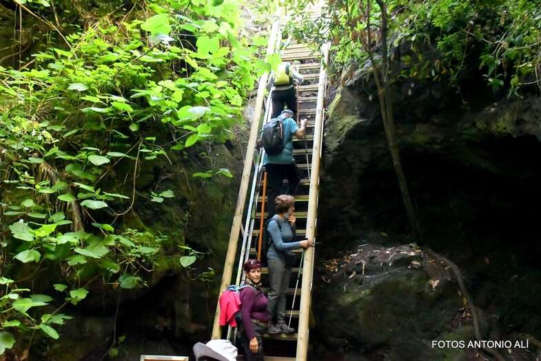 Momento de la ruta/Antonio Alí.